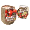 Anzuchtset Jute Erdbeere Tomate