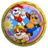Ball Paw Patrol Vinyl, 23 cm
