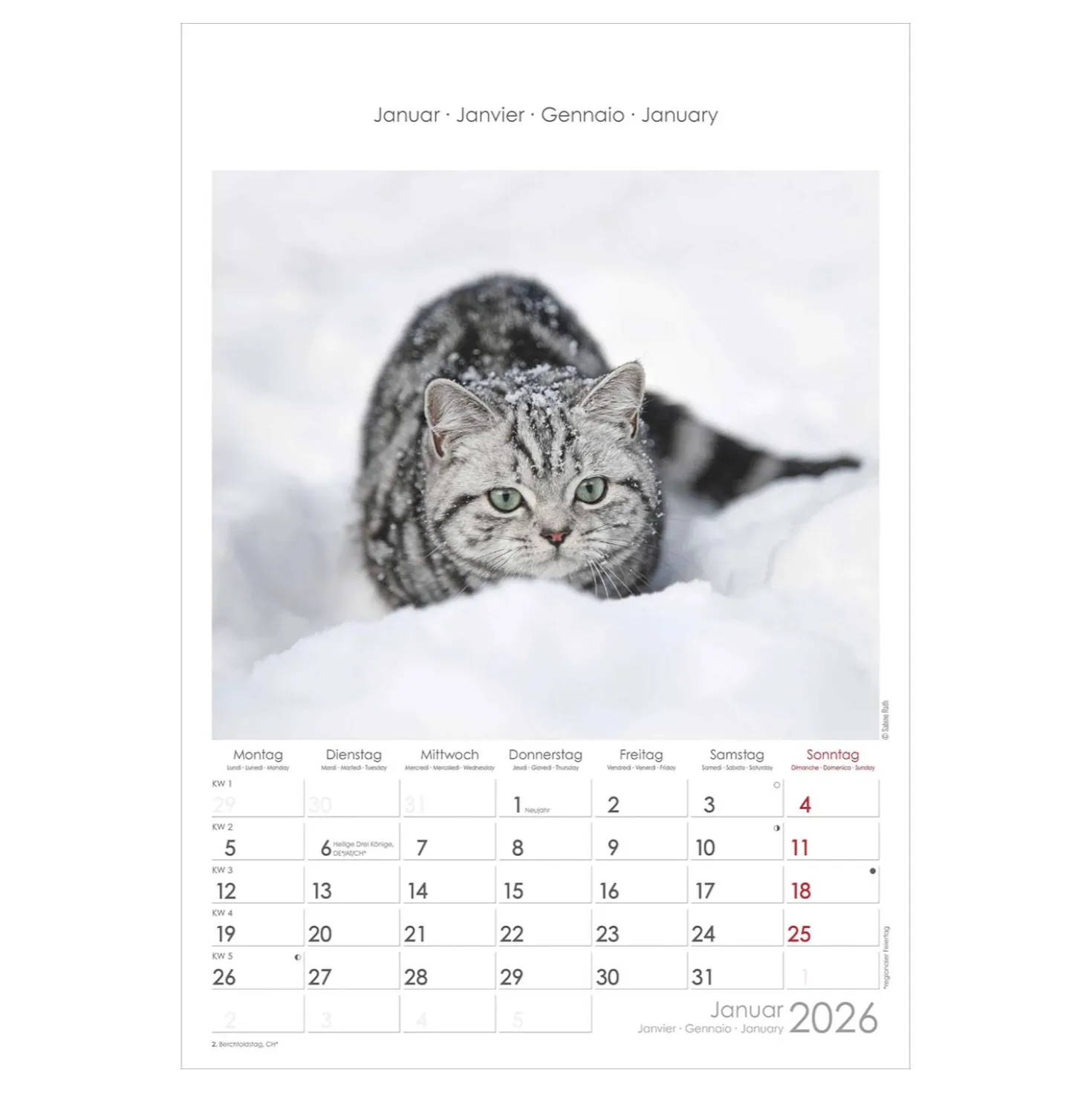 Bildkalender Tiere