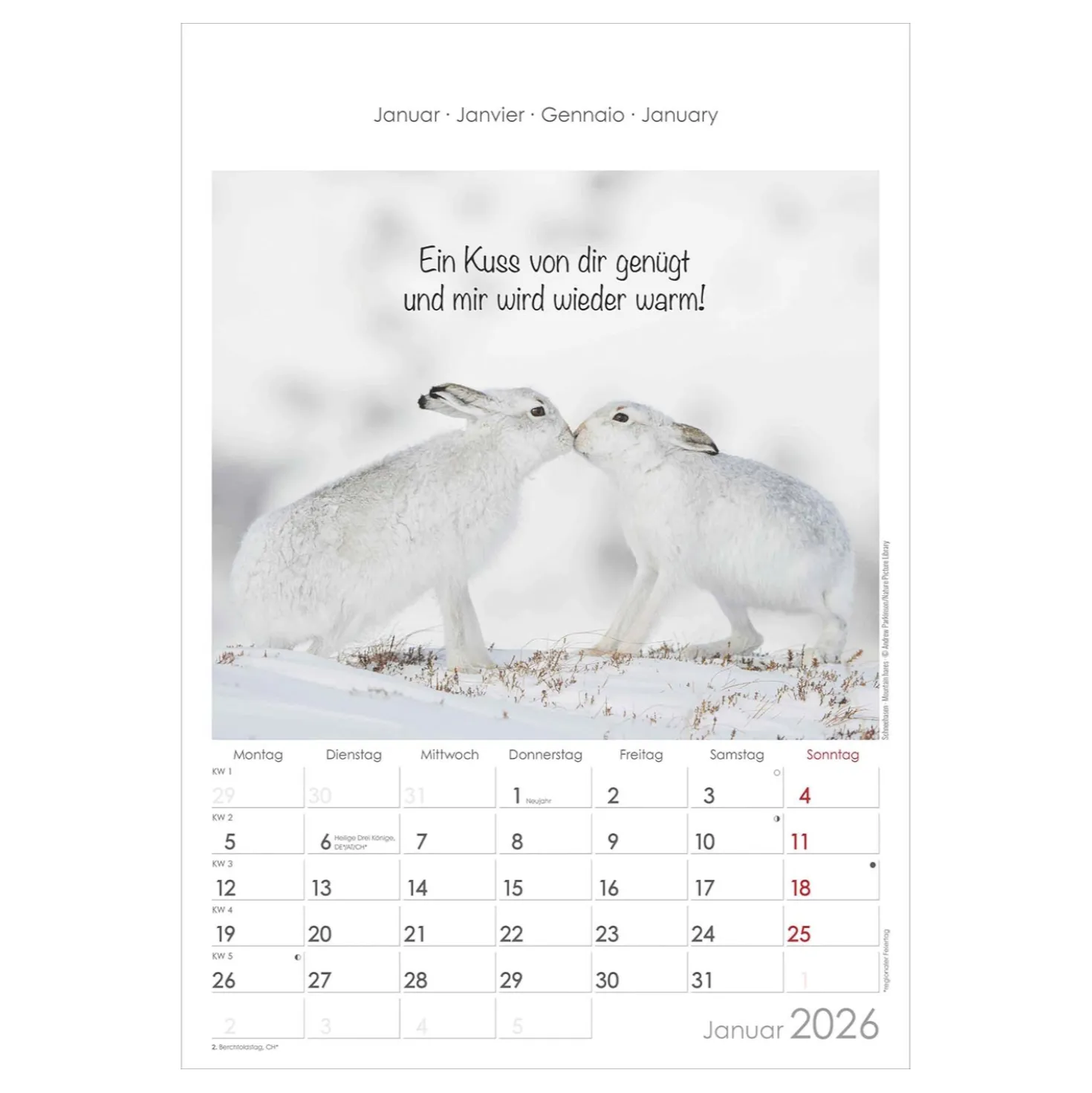 Bildkalender Tiere