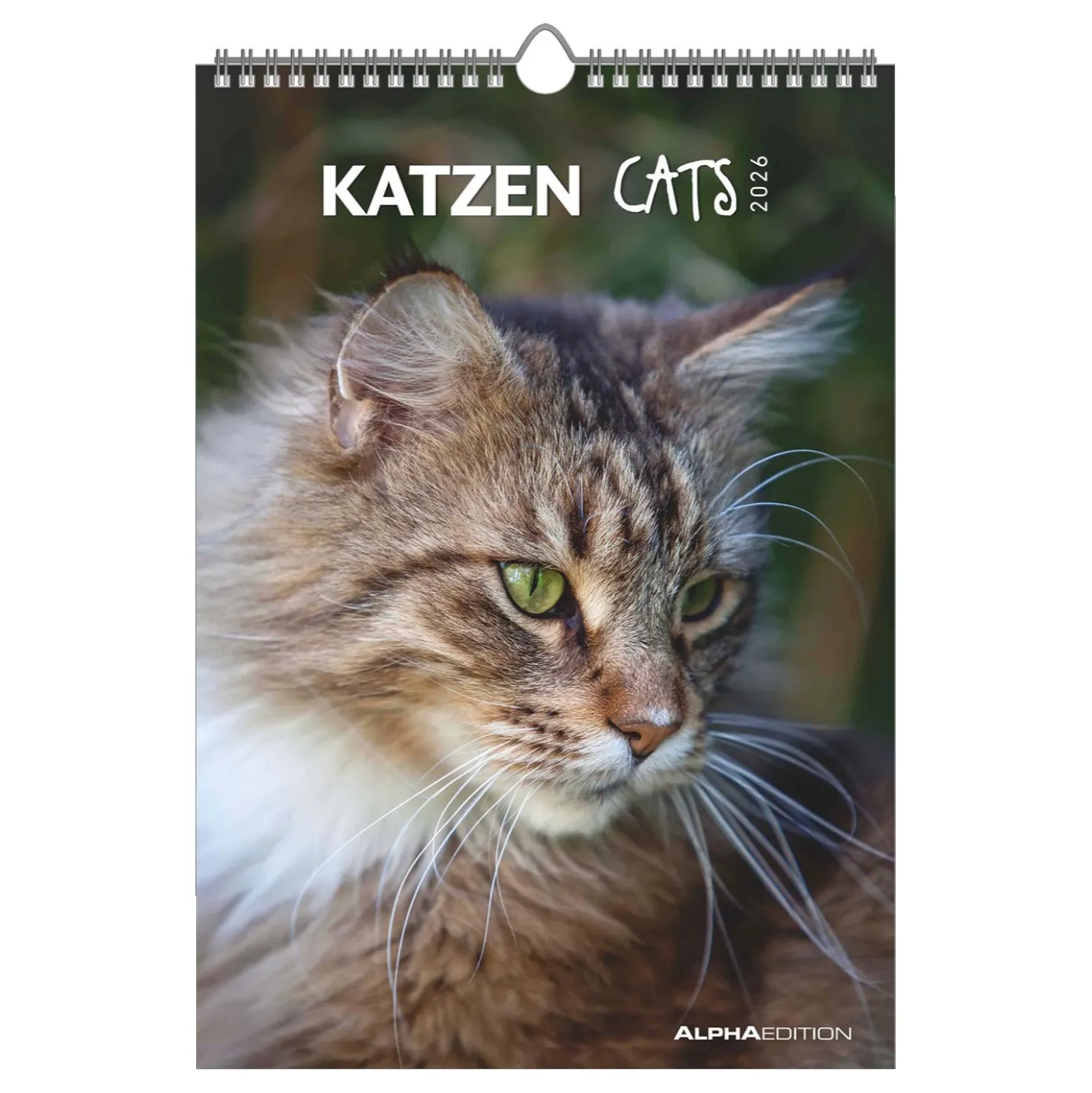 Bildkalender Tiere