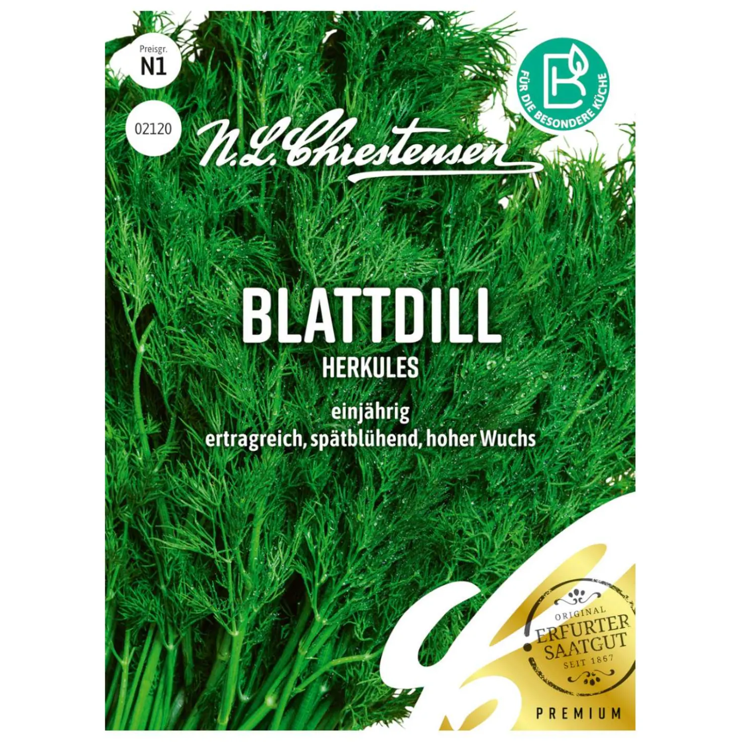 Blattdill Herkules