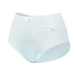 Damen Slip Microfaser mit Stickerei, weiß, 2 Stück