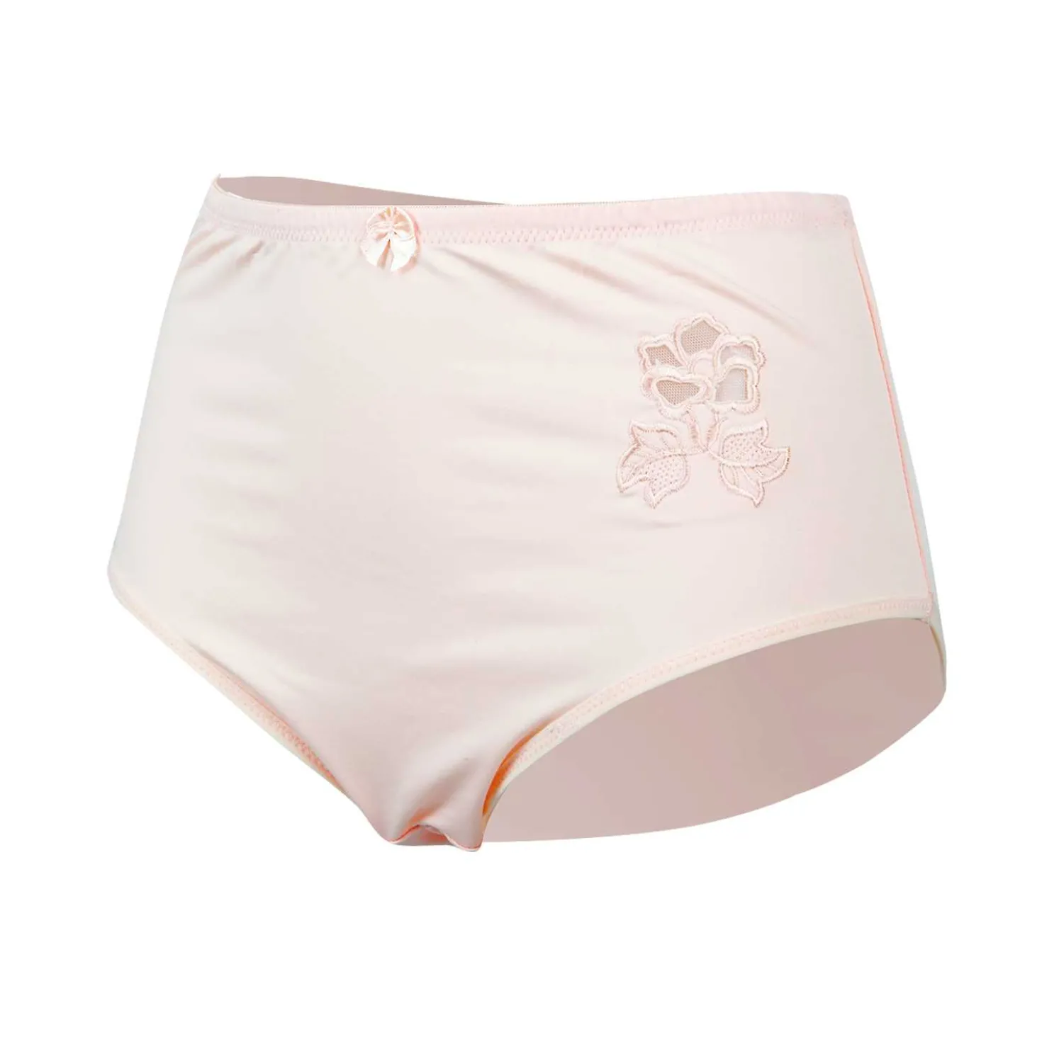 Damen Slip Microfaser Pastellfarben, 2 Stück