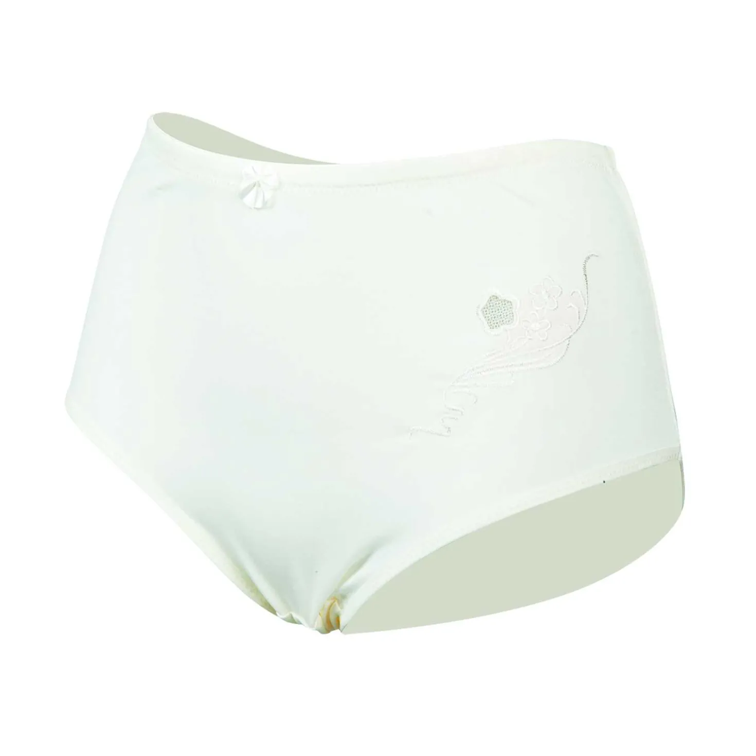 Damen Slip Microfaser Pastellfarben, 2 Stück