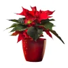 Ella Blumenübertopf, rot