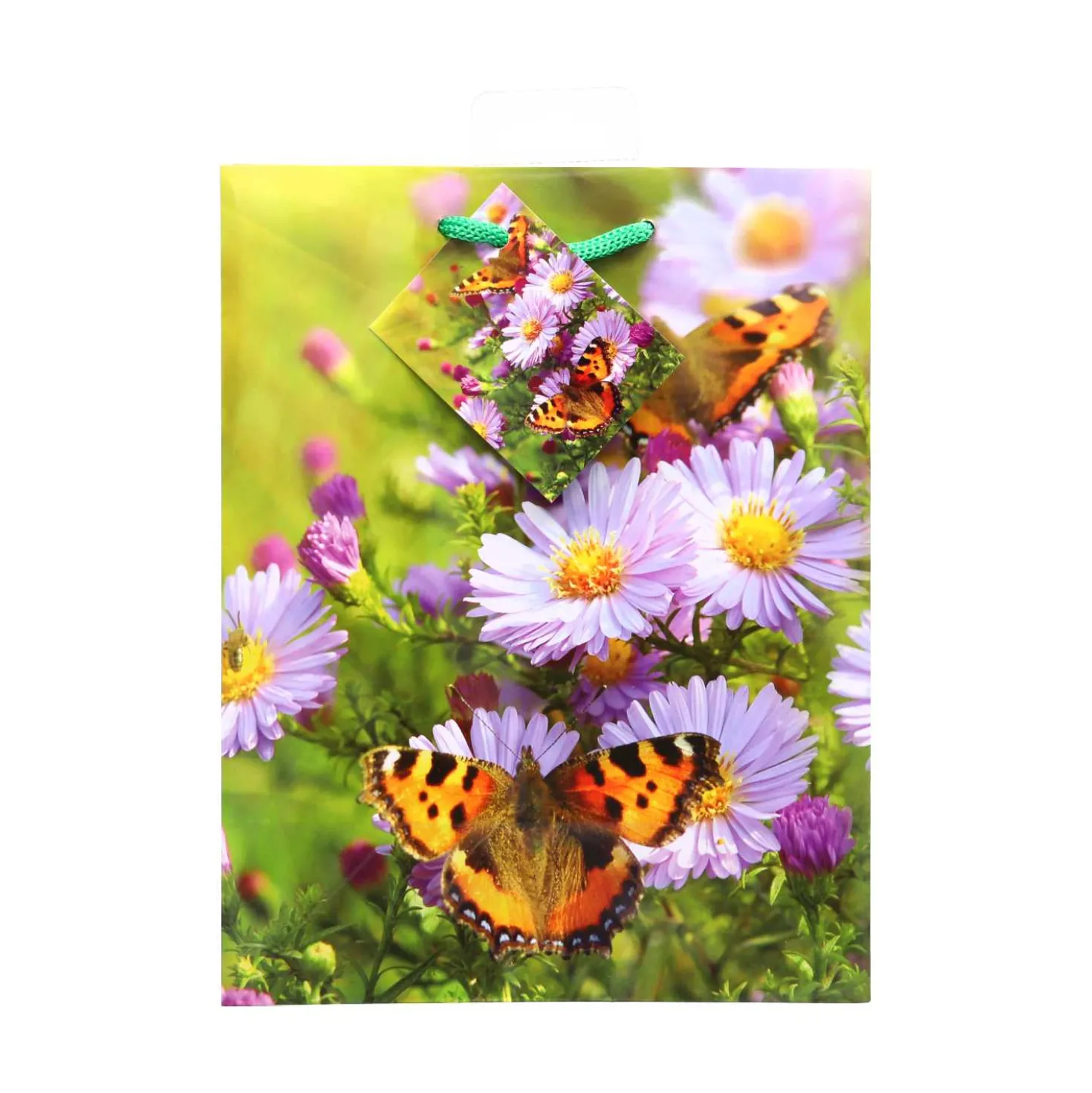 Geschenktüte A5, Lack-Optik
