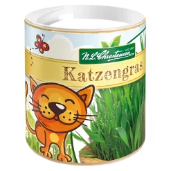 Katzengras