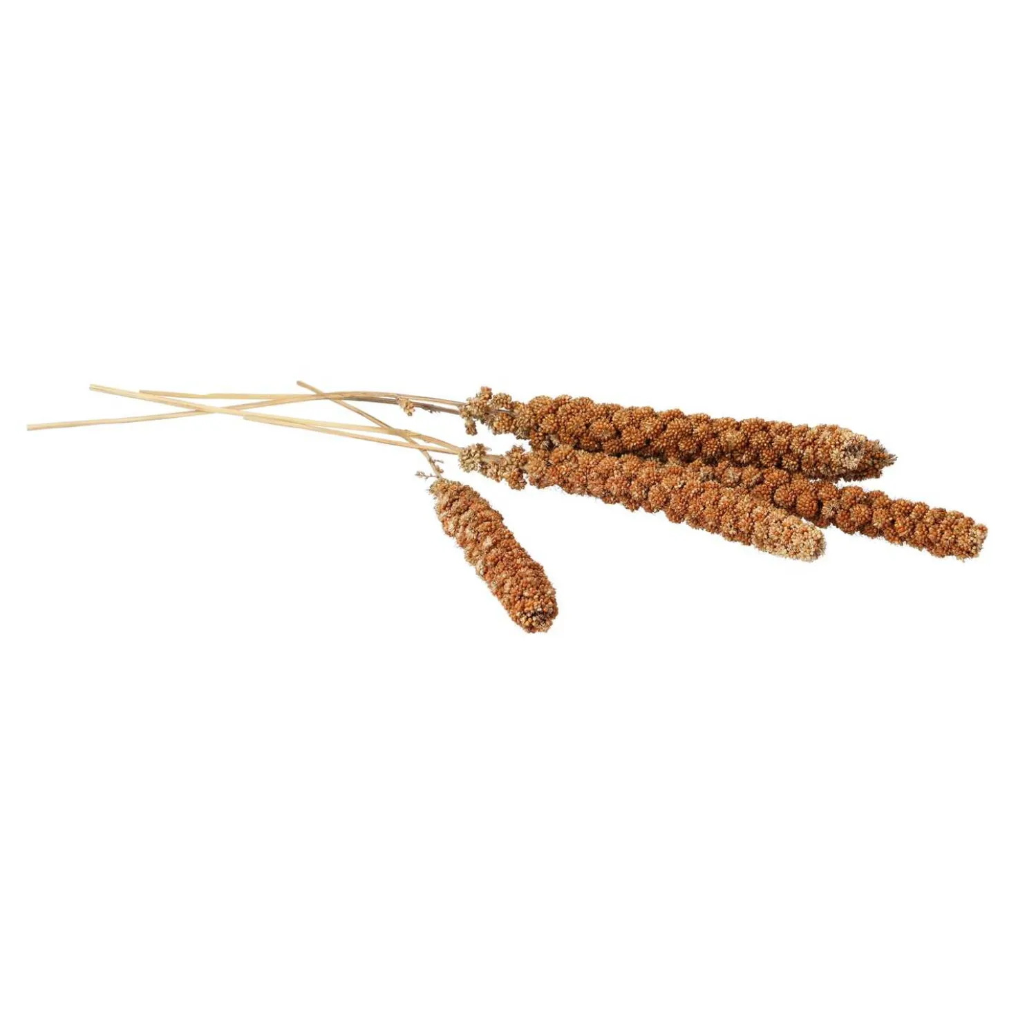Kolbenhirse gemischt, 500 g