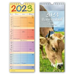 Maxi-Streifen Kalender Familie 20 x 45 cm 2fach