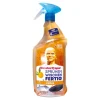 Meister Propper Allzweckreiniger, orange