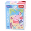 Mini Puzzle Lizenz 54Teile