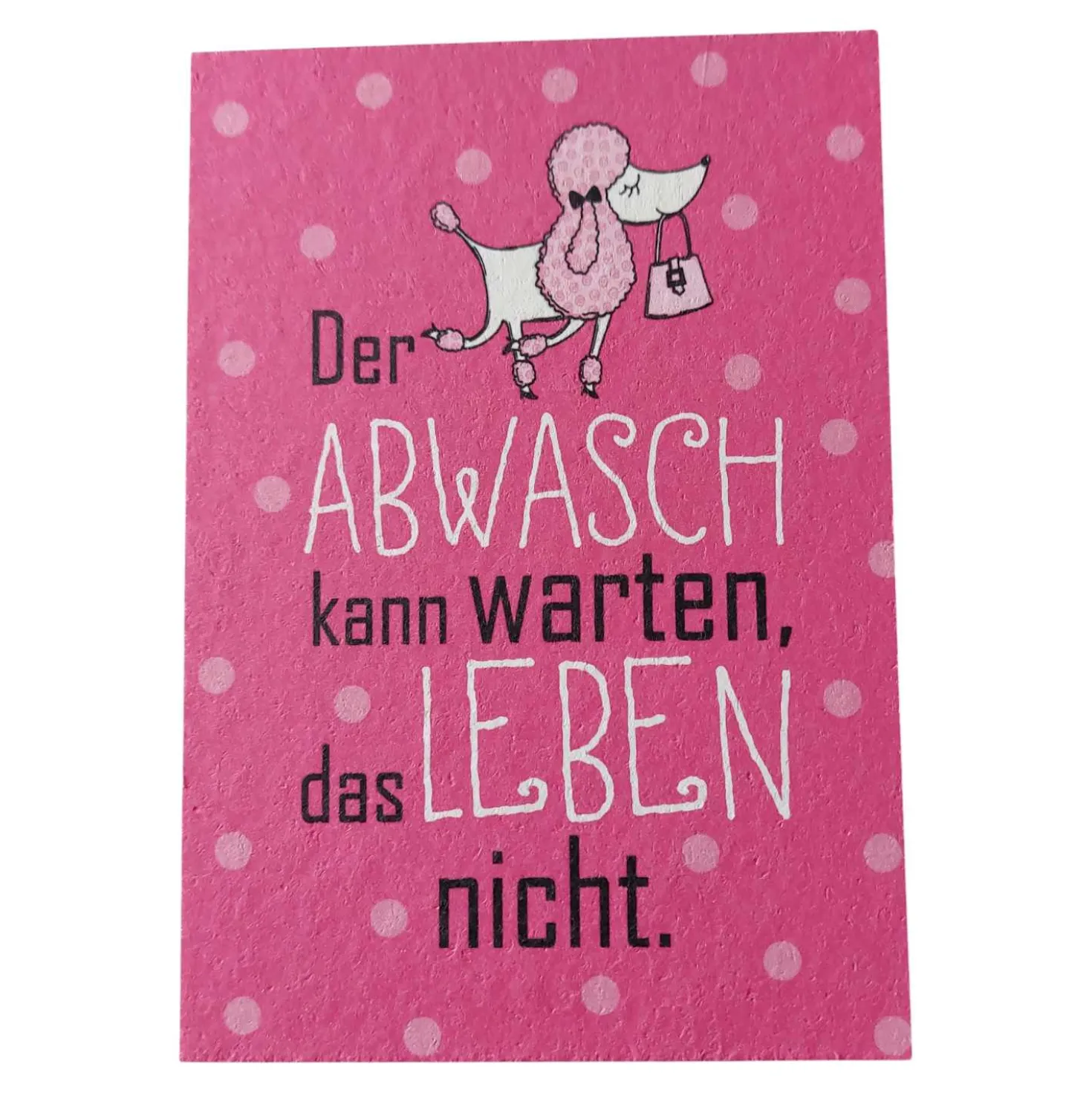 Putzschwamm Der Abwasch kann warten