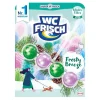 WC Spüler WCFrisch Frosty Breeze