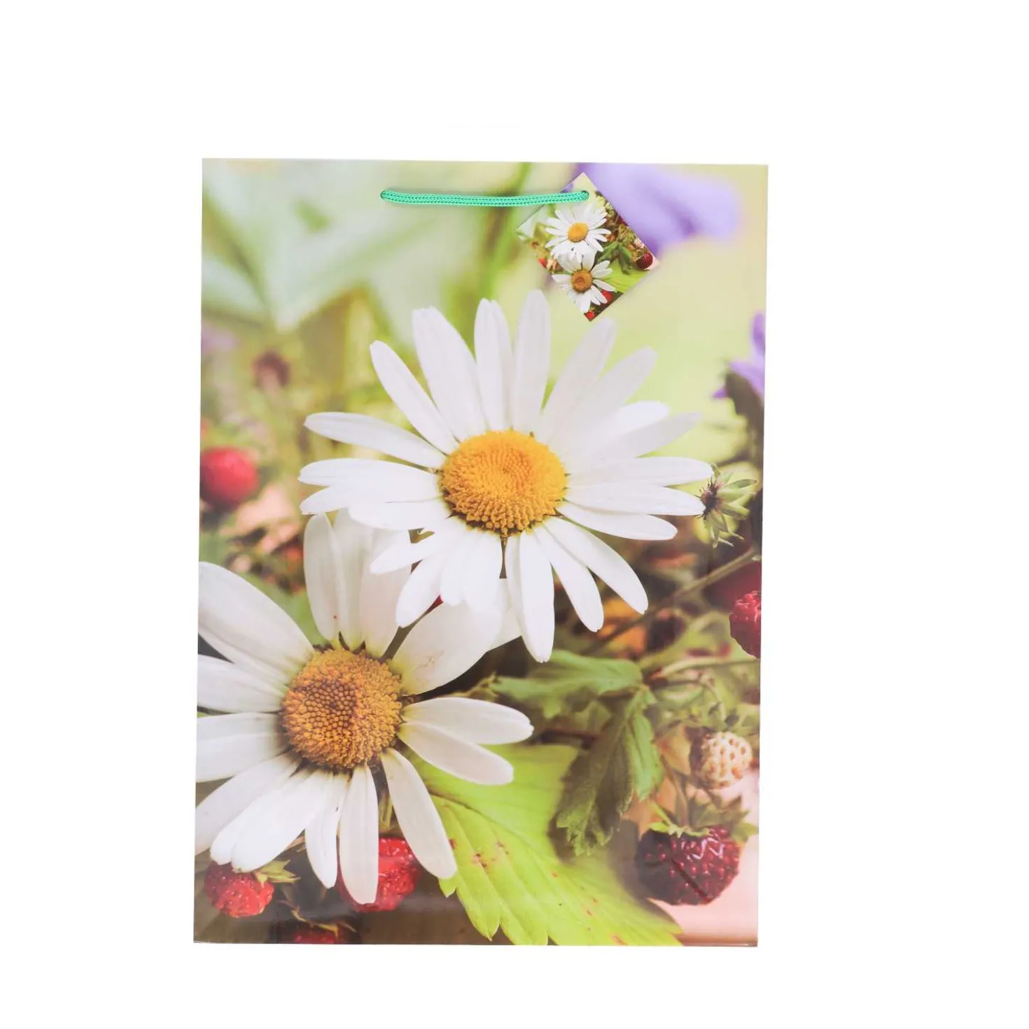 XXL Geschenktüte Lack Blumen A3