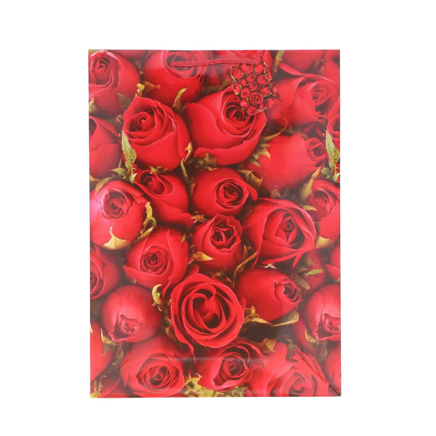 XXL Geschenktüte Lack Blumen A3