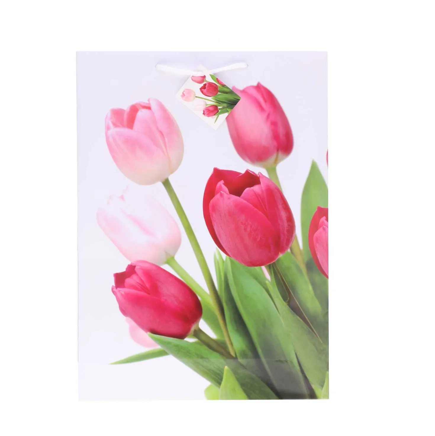 XXL Geschenktüte Lack Blumen A3